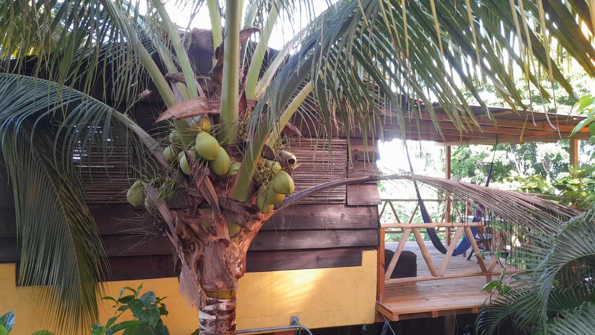 Casa Gio Villa ปูแอร์โตเอสกอนดิโด ห้อง รูปภาพ